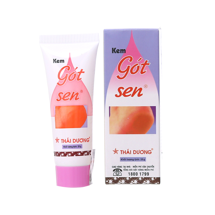 Gót Sen Thái Dương (T/20GR)