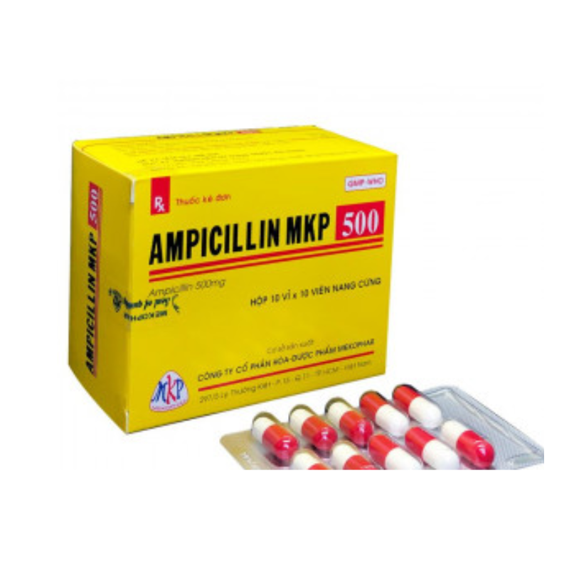 Ampicillin 500mg Mekophar (H/100v)