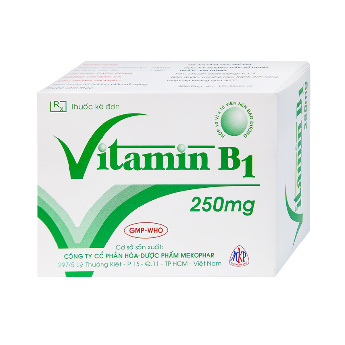 Vitamin B1 250mg Mekophar (H/100V)
