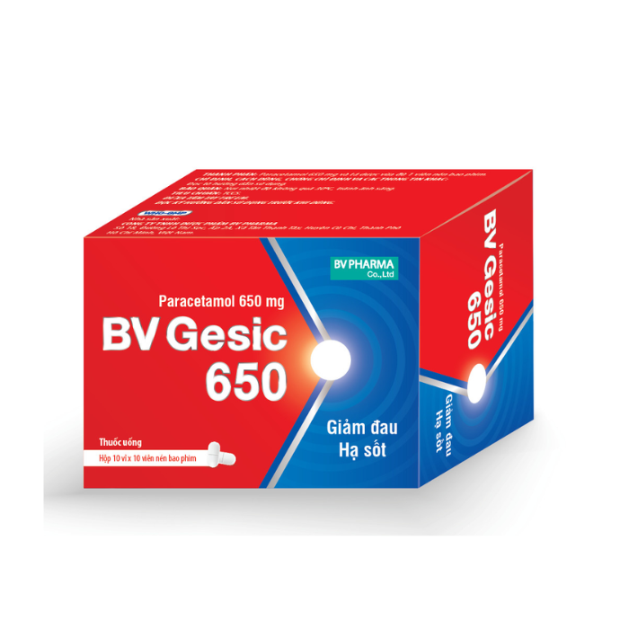 BV gesic 650mg ( H/100v)