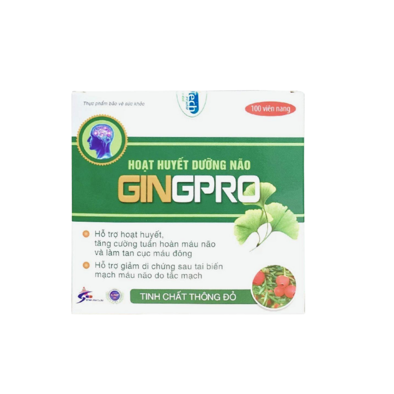 Hoạt huyết dưỡng não GINGPRO (H/100v)